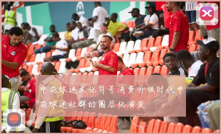 申花球迷文化符号消费升级时代申花球迷社群的圈层化演变